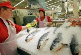 Рыбообработчики, рыбаки на заводы Дальнего Востока